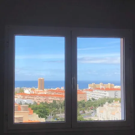 Acessibilidade Dinastia